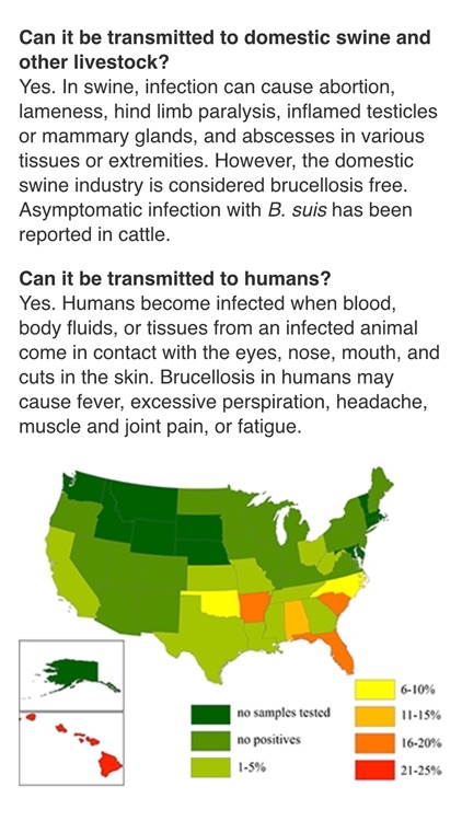 Feral Swine