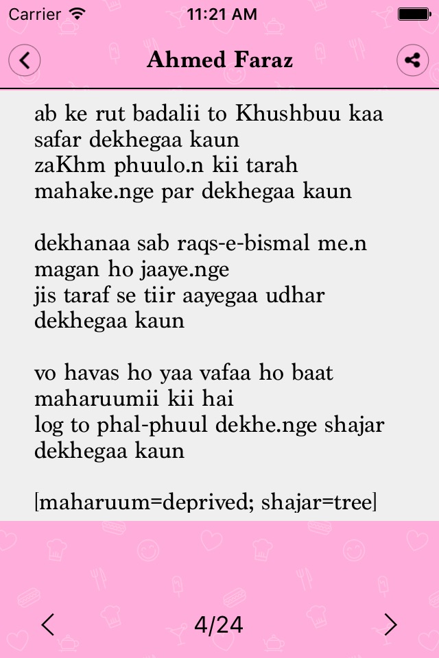 Hindi-Urdu Poetry screenshot 4