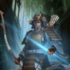 Archer Warrior The Legend - Kingdoms Tournament Dragon