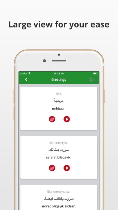 Learn Arabic Language screenshot 3