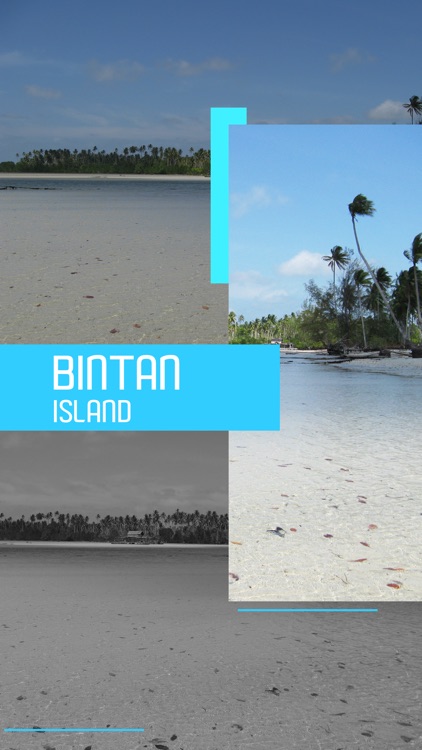 Bintan Island Tourist Guide