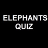 ElephantsQuiz