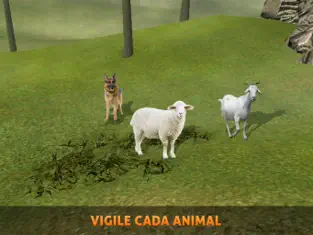 Capture 3 Perro de oveja: simulador de pastoreo entrenado iphone