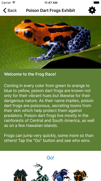 The Discoverer screenshot-3