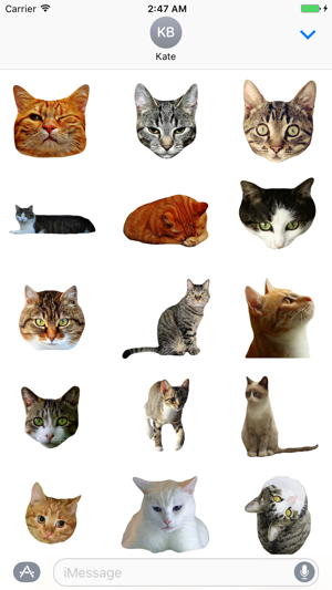 對於貓的iMessage貼紙：Cat Stickers for iMessage(圖2)-速報App