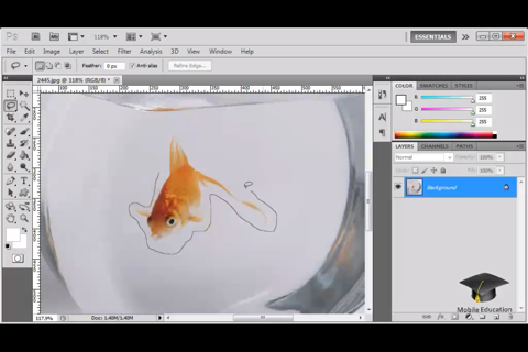 Full Tutorial for Adobe® Photoshop HD screenshot 3