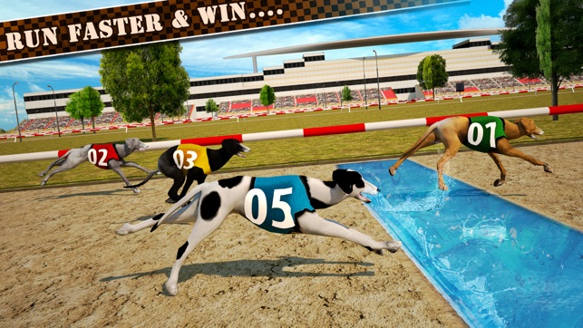 Dog Race & Stunts 2016(圖3)-速報App