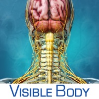 Brain and Nervous Anatomy Atlas: Essential Reference for Students and Healthcare Professionals apk