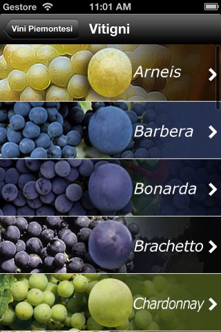 Vini Italiani - Piemonte - náhled