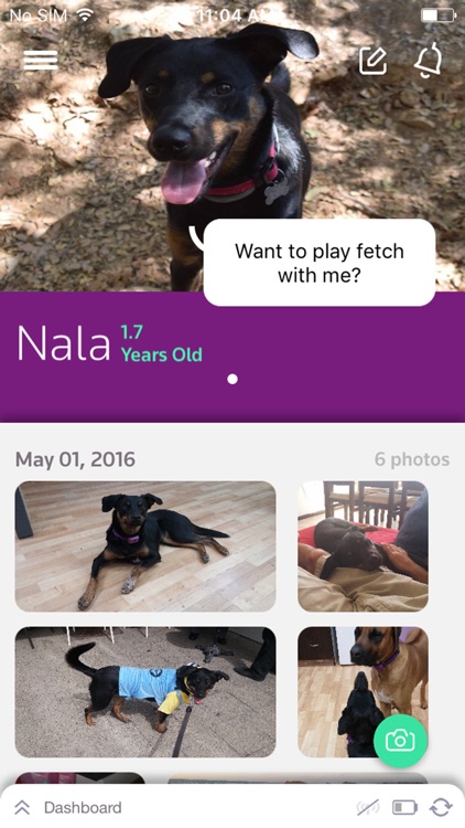 PetPace