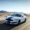 Reviews for Ford Cars Premium Photos and Videos