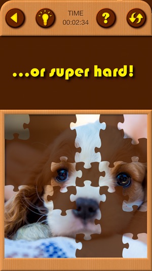 Cute Puppy Jigsaw Puzzle Games(圖4)-速報App