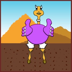 Activities of Ostrich game runner