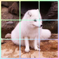 Activities of Live Animals - Sliding Square Puzzle