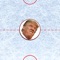 Trump Hockey