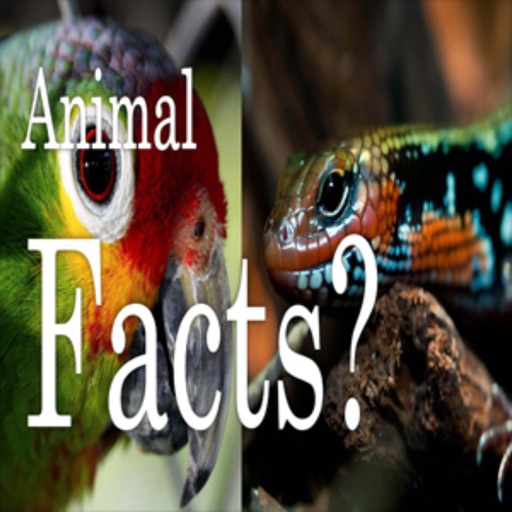 Animal Facts SMS Messages - Latest Facts / New Facts