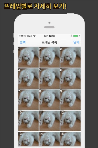 GIF Show Pro - GIF Viewer and Album screenshot 4