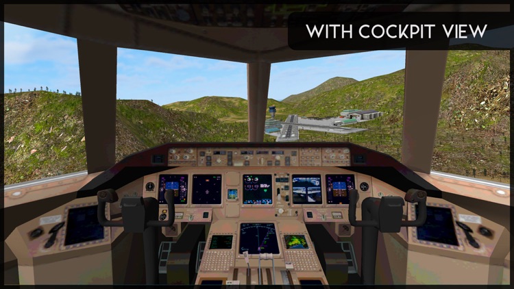 Avion Flight Simulator ™ screenshot-3