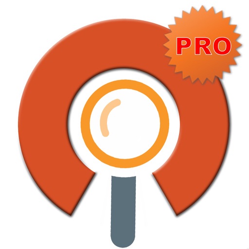 VPN KEEPER PRO - VPN for OPEN VPN