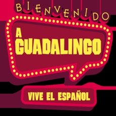 Activities of Guadalingo