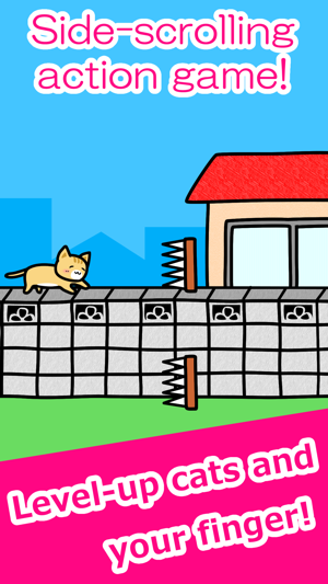 Play with Cats(圖3)-速報App