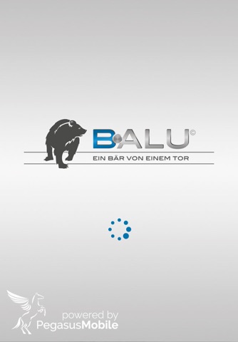 BALU screenshot 2