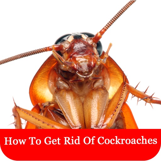 How To Get Rid Of Cockroaches icon