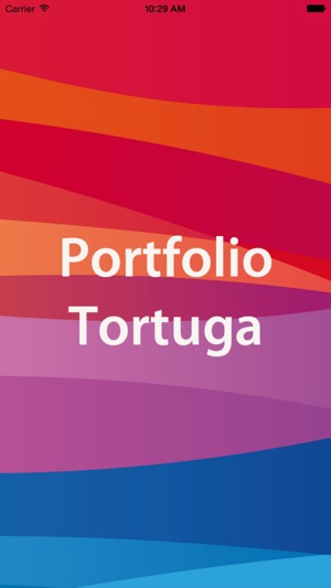 Portfolio DSM Tortuga