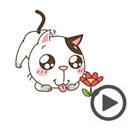 Funny Cat Animated by Binh Pham