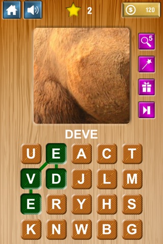 Zoom & Hidden Word - Animals Edition screenshot 2