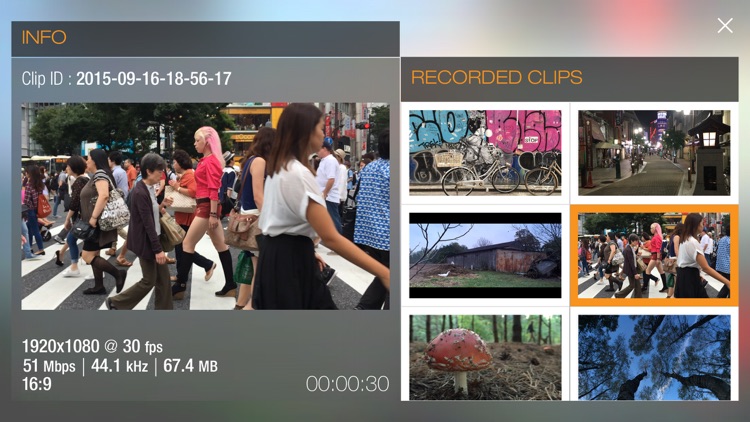 Guerrilla Filmmaker screenshot-4