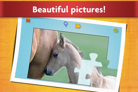 Horse Puzzles - Relaxing photo picture jigsaw puzzles for kids and adults screenshot 4