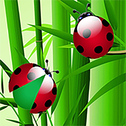 Beetle in bamboo Icon