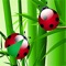 The cute beetle are trapped in forest of bamboo