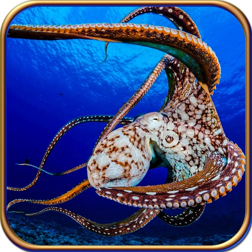 2016 Attack Of The Octopus Pro - Underwater Hunt icon