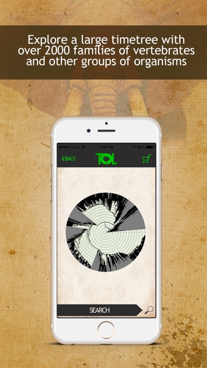 Tree Of Life - PRO