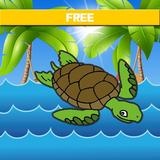 Turtle Shells iOS App