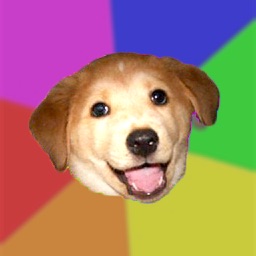 Advice Animals Stickers