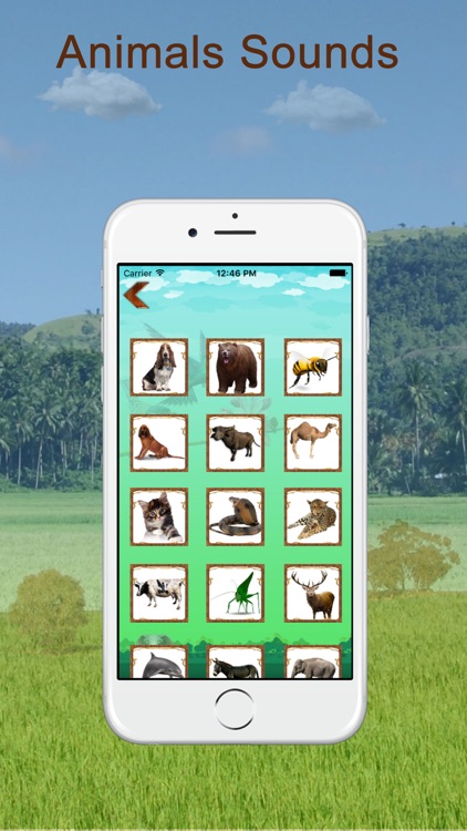 Animal And Bird Sounds screenshot-3