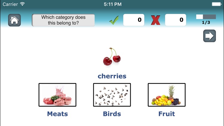 Category Therapy Lite - Aphasia Speech Rehab