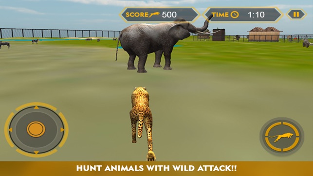 Wildlife cheetah Attack simulator 3D – Chase the wild animal(圖1)-速報App