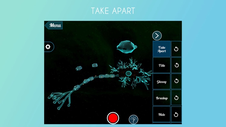 VR Structure of Neuron