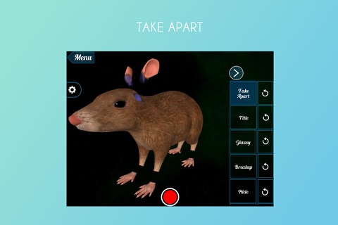 Rat 3D screenshot 2