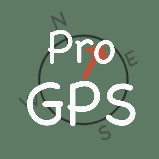 Pro GPS icon
