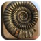 Fossil Museum app introduce wide variaty fossils