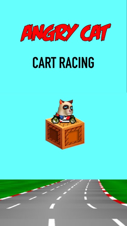 Angry Cat Cart Racing