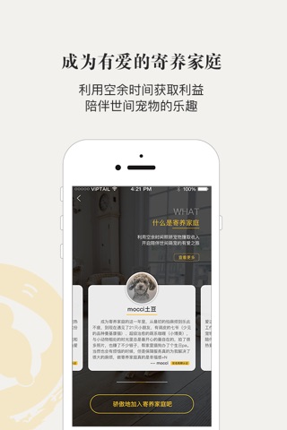 小狗在家宠物社区：分享爱宠每一天 screenshot 4