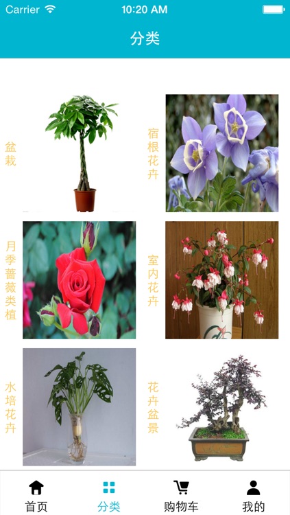 掌上鲜花网