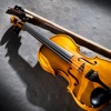 小提琴自学教程Pro