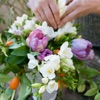 DIY花は初心者のためのアレンジ：ガイドとヒントを - iPhoneアプリ